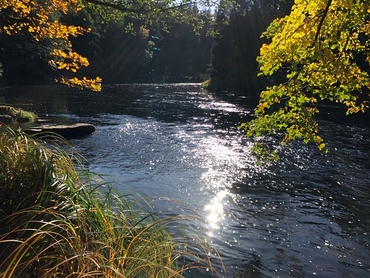 IMG 20220214 WA0017