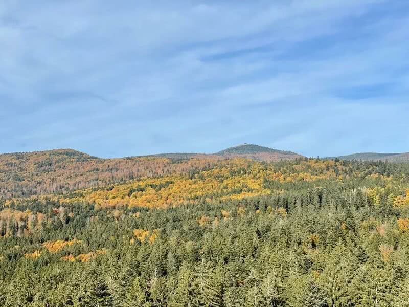 IMG 20220214 WA0020.jpg