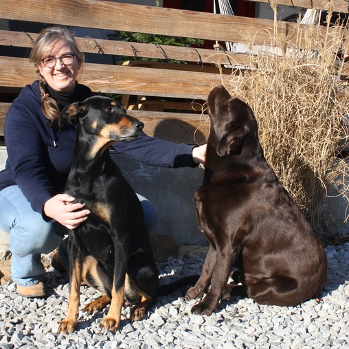 Pfotenpflege Hund: Tipp Pfotenpflege-Stick für raue Pfoten