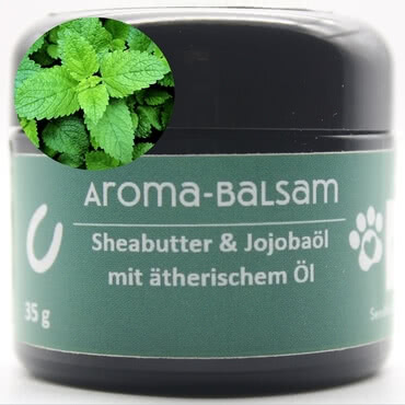 Aroma-Balsam Pfefferminz für Pferde mit Sheabutter in Violettglas