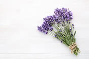 lavender flowers 2021 08 28 22 59 52 utc Lavendel