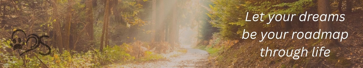 Banner Sendfelds Coaching 2025