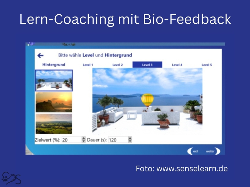 Bio Feedback 1