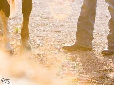 Resilienz Life Coaching mit Pferd