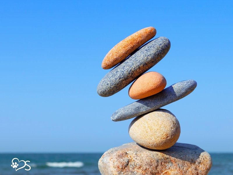 Disbalance Mind Body Soul