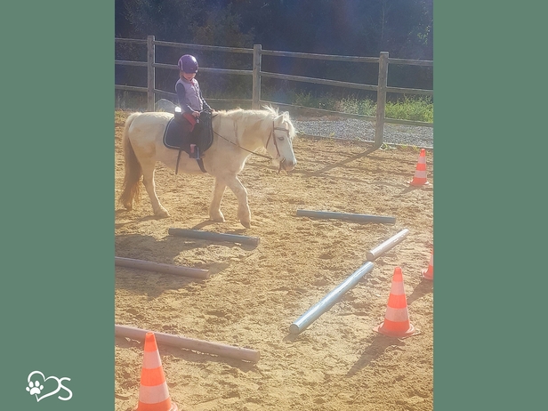 Horse Club Kids 3