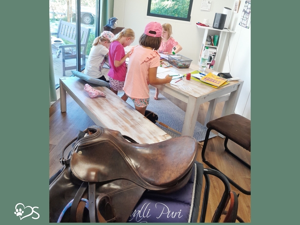 Horse Club Kids 4