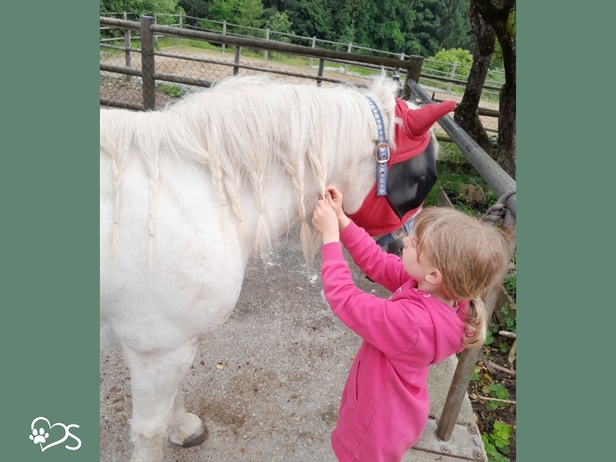 Horse Club Kids 6