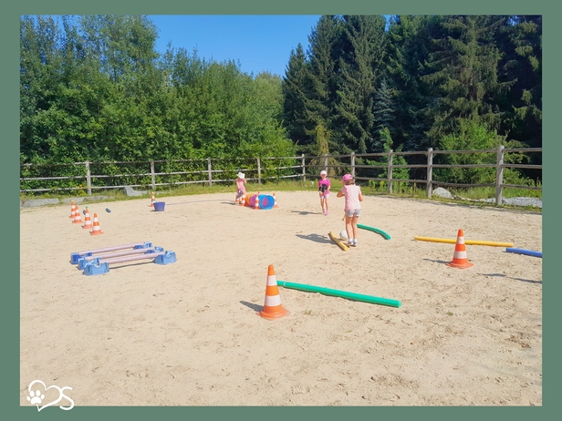 Horse Club Kids 7