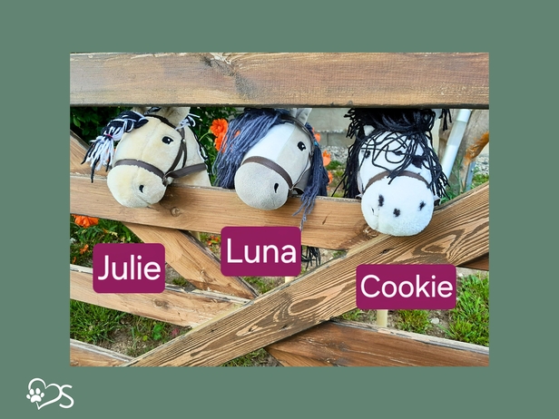 Horse Club Kids 8