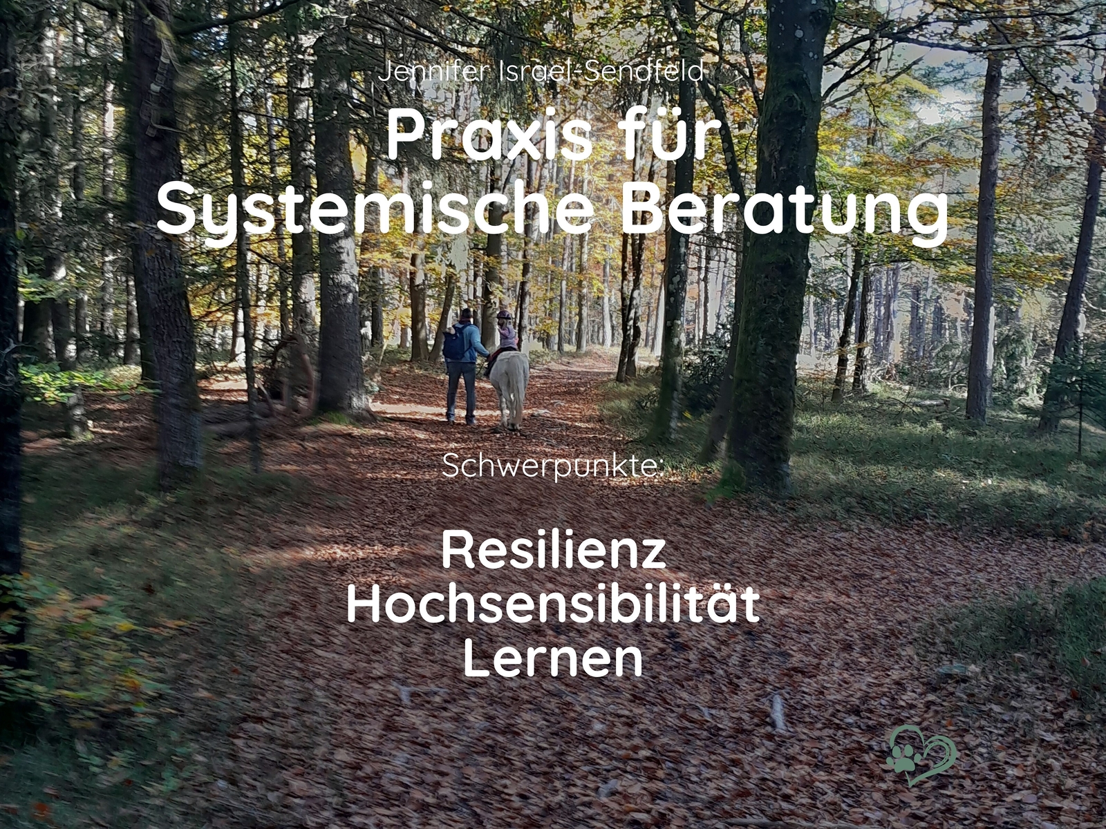 Praxis fuer systemische Beratung2
