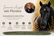 Sommer Auszeit Workshop