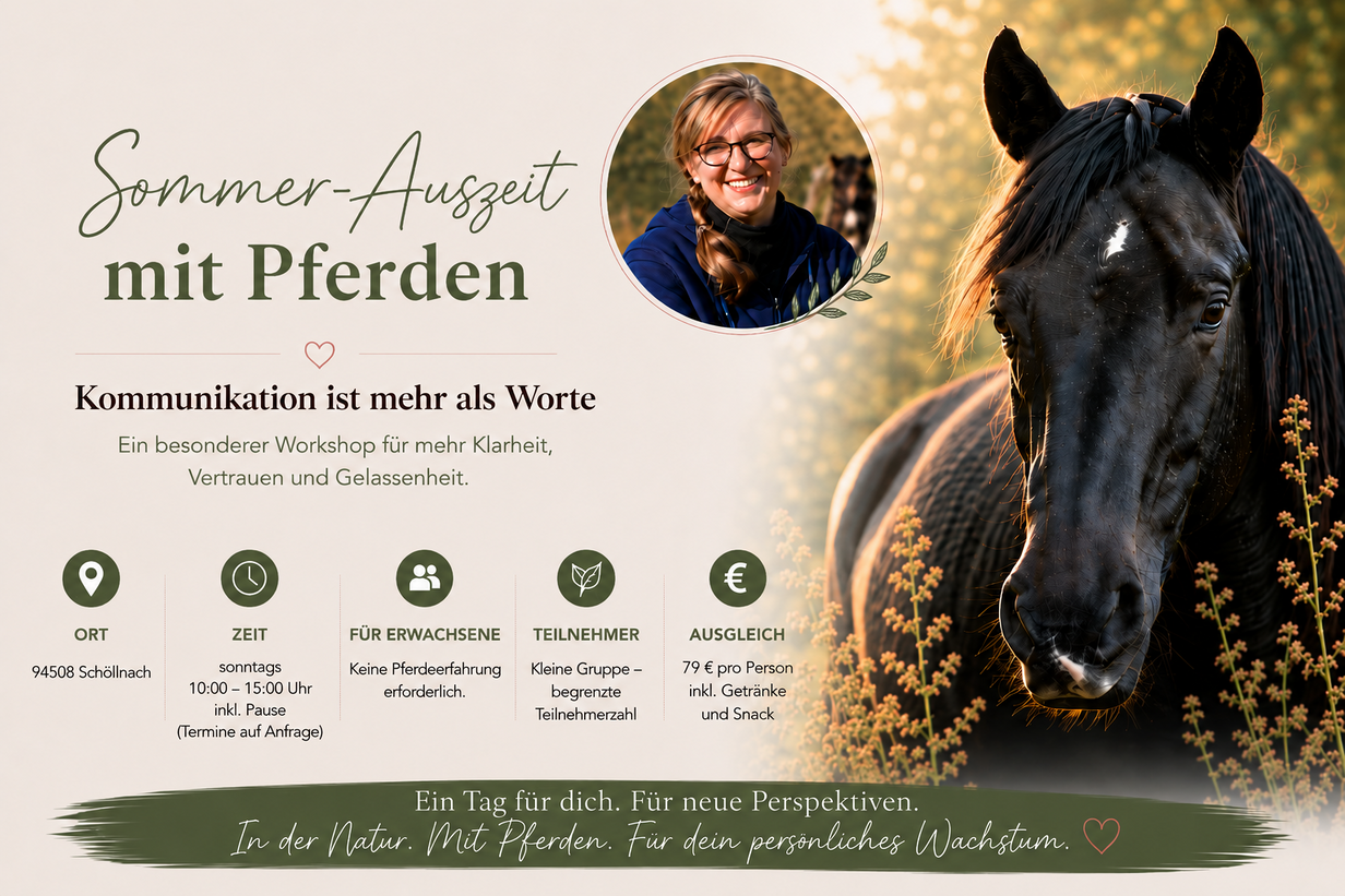Sommer Auszeit Workshop