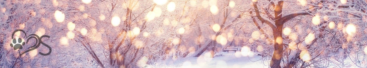 Winter Banner