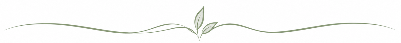 Linie fuer Homepage